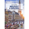 Do kapsy Bruggy a Brusel SVOJTKA