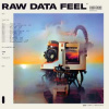 LP Everything Everything: Raw Data Feel LTD | CLR