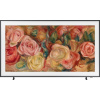 Samsung QE65LS03D QLED 65