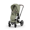 Cybex Platinum CYBEX Priam 5.0 Športový kočík - Style Collection sage green 2026 chrome brown
