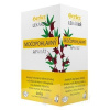 HERBEX Lekáreň MOČOPOHLAVNÝ aparát bylinná zmes, čaj 20x3 g (60 g)