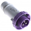 Průmyslový napájecí konektor Zástrčka, Kabelová montáž, Samec, formát pólů: 3P, orientace těla: přímý barva Fialová,