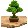 Machový 3D bonsai Brown
