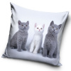 Carbotex Dekoračný vankúšik Mačacie Trio