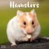 Hamsters, 30,5 x 30,5 30,5 x 61 cm 2026
