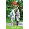 E-kniha Šepot mesačného svitu - Charlotte Link