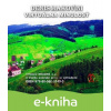 E-kniha Virtuálna minulosť - Denis Makovini