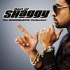 Shaggy - Boombastic Collection / Best Of [CD]