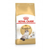ROYAL CANIN Ragdoll Adult 2x10kg
