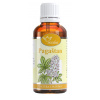 Serafin Serafin: Pagaštan - tinktúra z pupeňov 50 ml