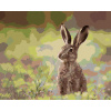 ZUTY Maľovanie podľa čísel ZAJAC V TRÁVE Rámovanie vypnuté plátno na rám Rozmer 80x100 cm