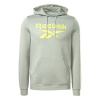 Pánska Mikina REEBOK RI FLC BIG LOGO HOOD H54807 – Sivá