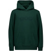 POC Hood Jr Pargasite Green - 140