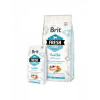 Brit Fresh Hryby a Tekvica Adult Large Muscles & Joints 12 kg