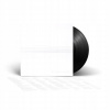 Foo Fighters: But Here We Are LP