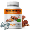 MycoMedica Reishi triterpen 90 kapsúl vegan - 90 rastlinných kapsúl
