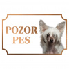 Čínsky chocholatý pes - Kovová tabuľka POZOR PES