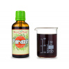 Parazit - bylinné kapky (tinktura) 50 ml - doplněk stravy