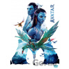Avatar DVD