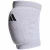 adidas Primeknit KP iw1499
