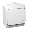 Cedar Plus spínač 1/0 symbol svetlo IP44 polar