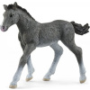 Schleich Žriebä koňa trakénskeho