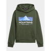 4F Jr sweatshirt 4FJAW23TSWSM634-41S (178723) Black/Green 158