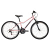 Kenzel KSW Roxis 2024