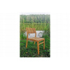 Shekina Garden Chair Teak Lapiert (Shekina Garden Chair Teak Lapiert)