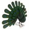 Páv Peacock Nortene