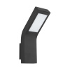 PREZENT 65300 SOY LED/9W,4000K,IP54, GRAPHITE,WALL
