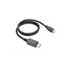 Kabel C-TECH DisplayPort/HDMI, 2m, černý (CB-DP-HDMI-20)