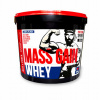 Megabol Whey Mass Gain 3000 g