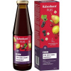 Ovocno-bylinný nápoj so železom a vitamínmi C, B1, B2, B6, B12 450 ml RABENHORST