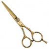 PRO FEEL JAPAN EB-60 GOLD - Profesionálne kadernícke nožnice 6 '- skrutka s kamienkami