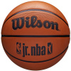 Basketball ball Wilson NBA Jr DRV Fam Logo Ball WZ3013001XB (120839) Black 7
