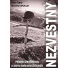 Nezvěstný