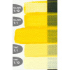Golden Artist colors GOLDEN Fluid Acryl 30ml, rôzne odtiene Odtieň: 2428 Cadmium yellow medium hue