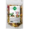 NUTRIN Nature - Reptality 80g