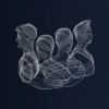 Point Of Few - Peripheral People [CD]