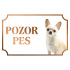 Čivava - Kovová tabuľka POZOR PES