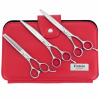Geib Entree Set Scissors 7,5