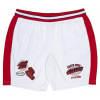 pánske kraťasy SANTA CRUZ TTE WORLDWIDE MESH SHORT WHITE M