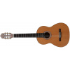 Klasická gitara Prodipe Guitars Flamenco Leworučná