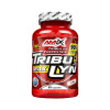 Amix TribuLyn 90% Max 90 kapsúl