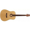 Ashton D20S NT