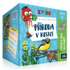 Albi Kvído Příroda v kostce