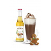 Monin sirup - Perník/Gingerbread 0,25 litru