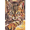Vymalujsisam.sk Maľovanie podľa čísiel - Zvedavé mačiatko Veľkosť: 40x60cm, Rám: Bez rámu, iba zrolované plátno