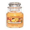 Yankee Candle Mango Peach Salsa vonná svíčka 104 g 5038580062069